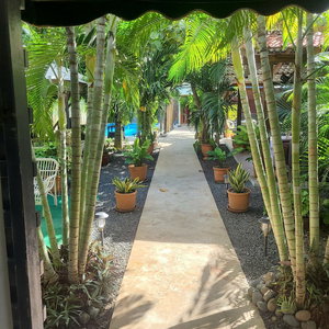 Hotel Green Oasis Hotel cazare La Romana