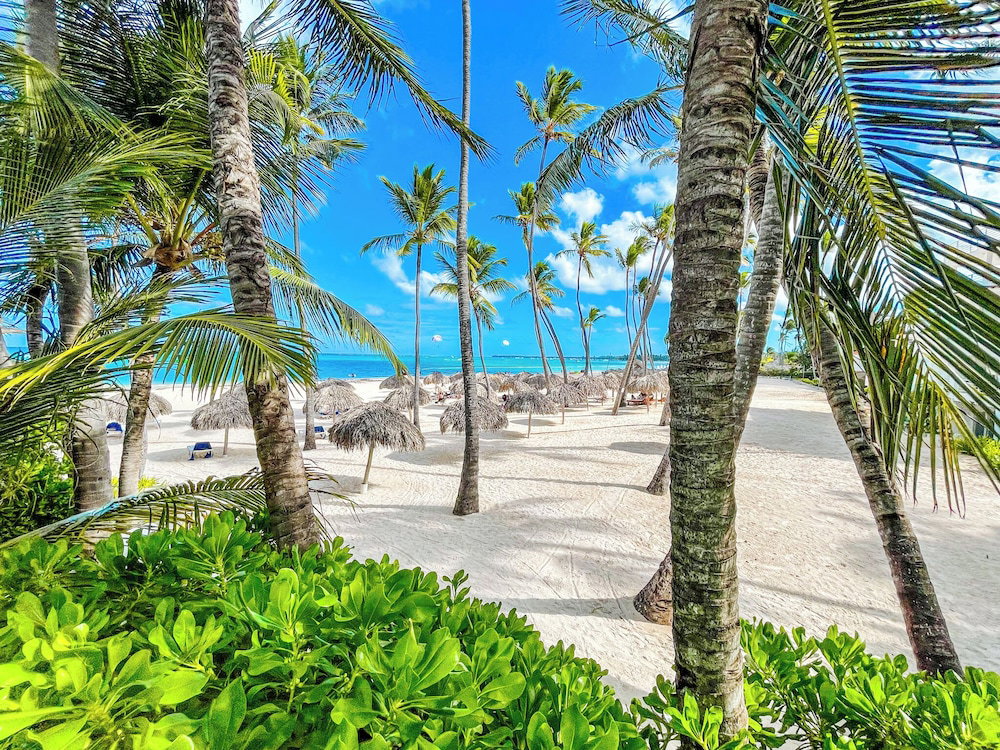 Hotel Casas Del Mar Hotel Beach & Spa