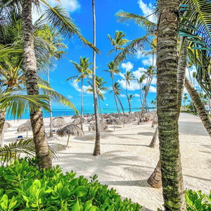 Hotel Punta Cana Paradise Studios Beach Pool cazare Bavaro