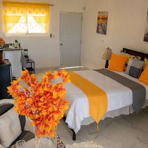 Hotel Royal Terrace Princess Ii cazare Puerto Plata