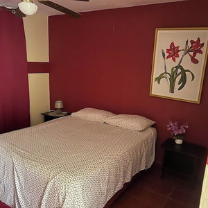 Hotel Moe's Economy Hotel cazare Sosua