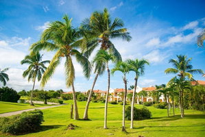 Hotel Cozy Apartment At Cocotal Golf Suites cazare Bavaro