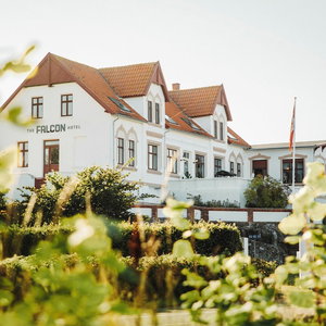 Hotel The Falcon Hotel cazare Tejn