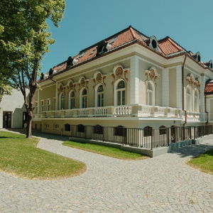Hotel Cocosul De Aur cazare Targu-Mures