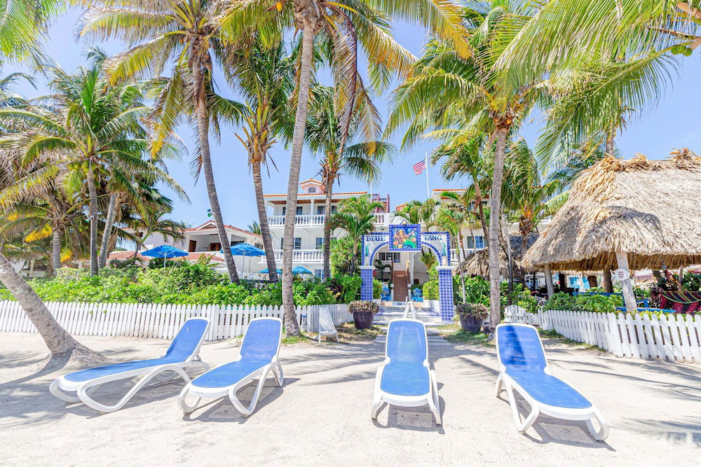 Blue Tang Inn