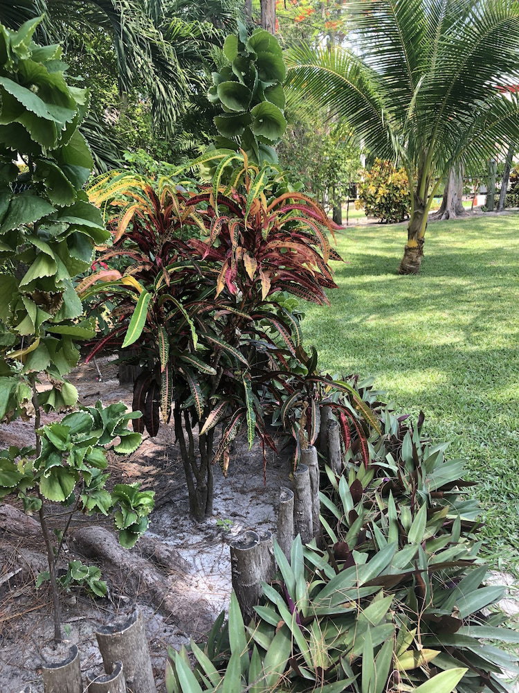 Hotel Belize Budget Suites
