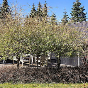 Hotel 4 Star Holiday Home In Graested cazare Graested
