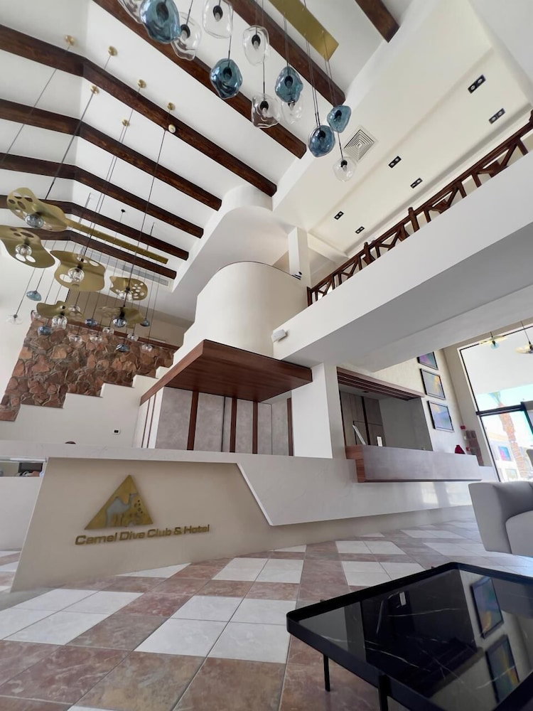 Camel Dive Club & Boutique Hotel