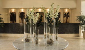 Hotel Jaz Neo Naama Bay cazare Naama Bay