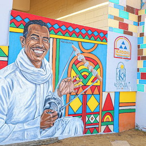Hotel Ekadolli Nubian House - By Kerma Hospitality cazare Aswan