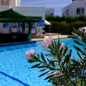 Hotel Viking Club Hotel cazare Naama Bay