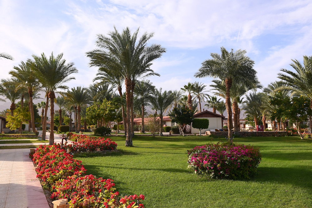Fiord Club Resort & Spa