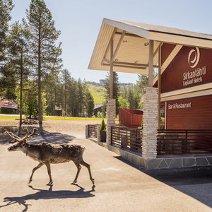Sejur Lapland Hotels Sirkantähti vacanta Levi
