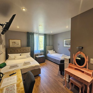 Hotel Hotel Franken An Der Messe cazare Gallus