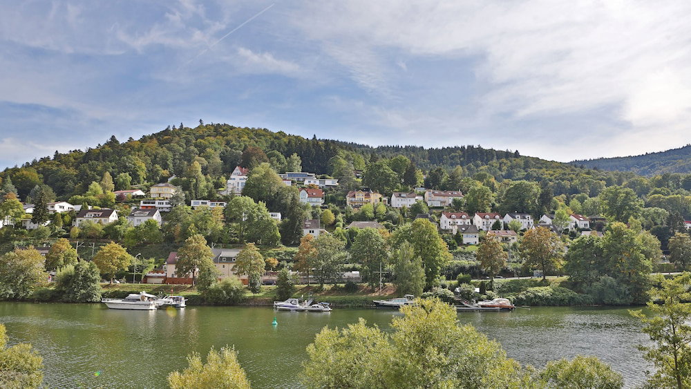 Hotel Hotel Neckarlux