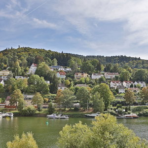 Hotel Hotel Neckarlux cazare Schonau