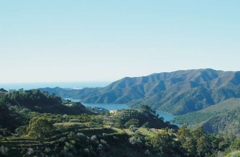 Hotel Los Jarales
