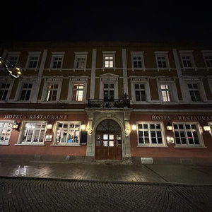 Hotel Hotel Sachsenhof Riesa cazare Riesa