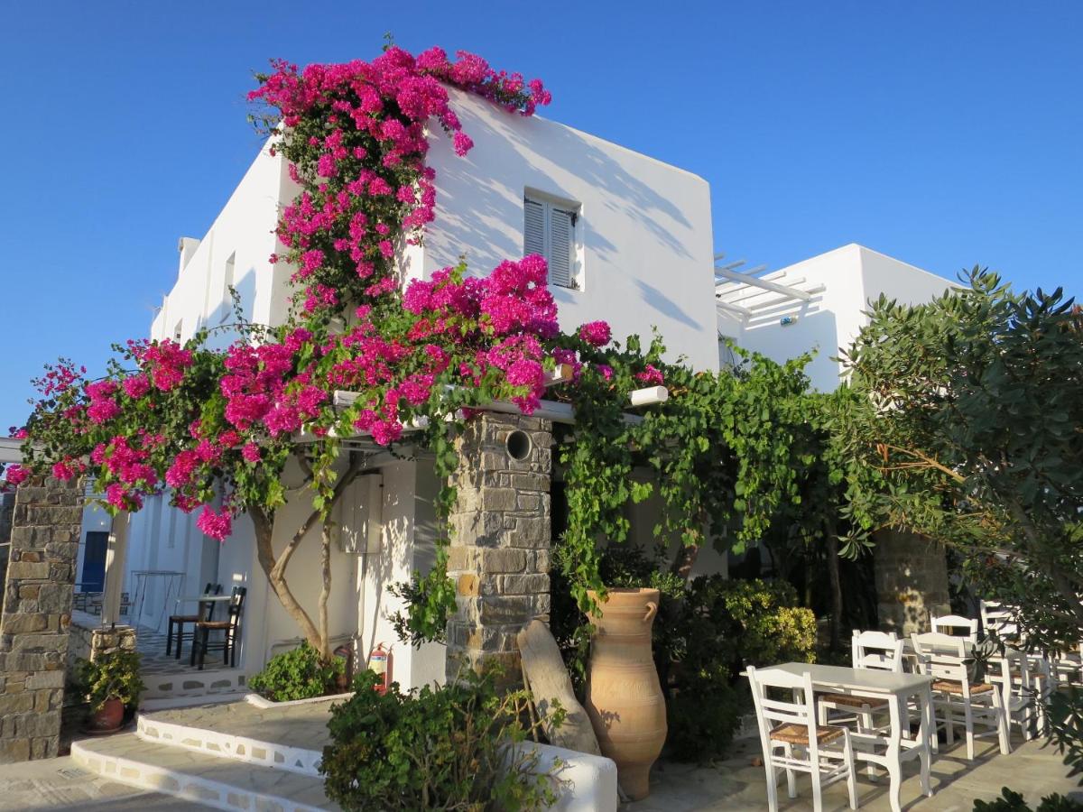 Hotel Zefi Hotel & Suites Paros
