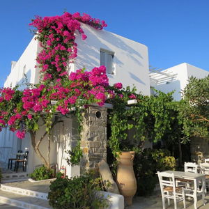 Hotel Zefi Hotel & Suites Paros cazare Paros