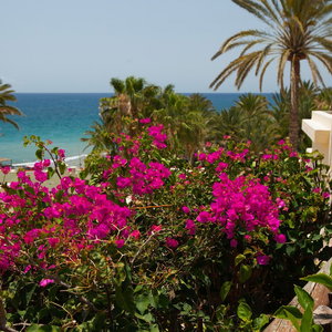 Hotel Grupotel Tres Vidas cazare Bahia Feliz