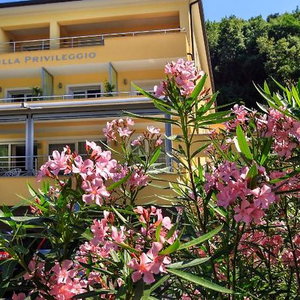 Hotel Villa Privileggio cazare Moscenicka Draga