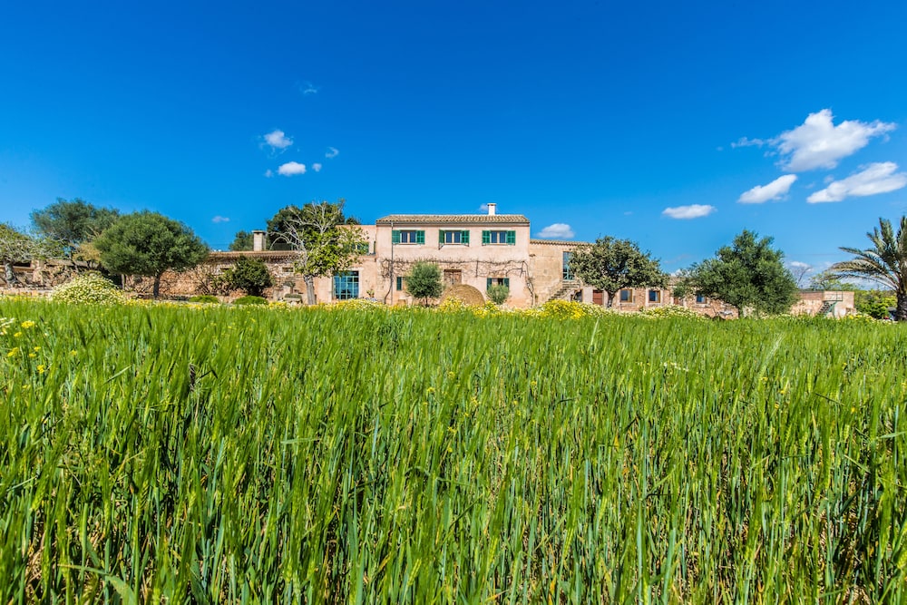 Hotel Finca Agroturismo Sa Cova Den Borino