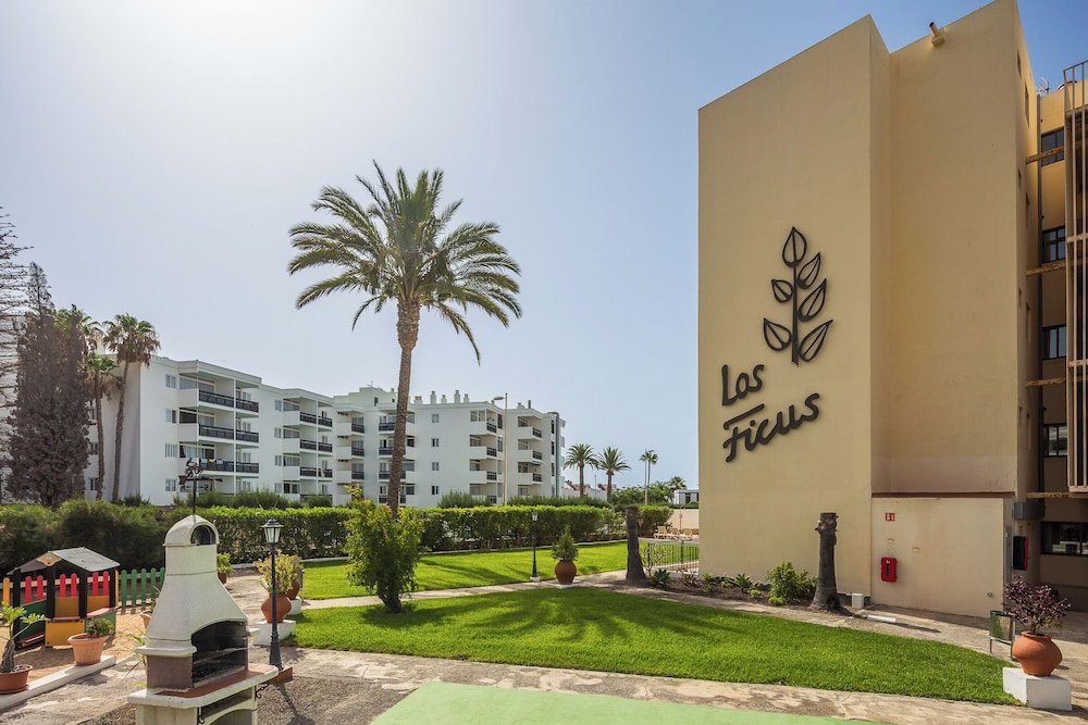 Hotel Apartamento Los Ficus