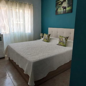 Hotel Ellite Xiii Apartment Playa Naufragos Torrevieja! cazare Torrevieja