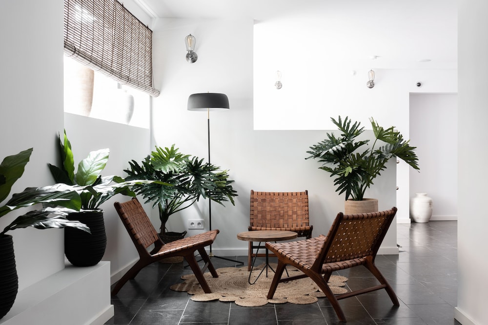 Hotel Terreno Suites