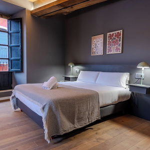 Hotel Hotel Barrio Húmedo By Gaiarooms cazare Leon