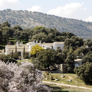 Hotel Hotel Finca Los Pilares De Ronda cazare Ronda
