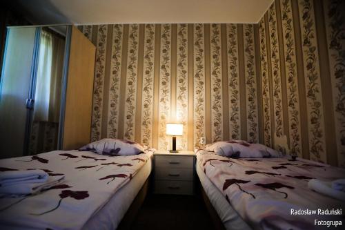 Hotel Pokoje Goscinne Via Steso