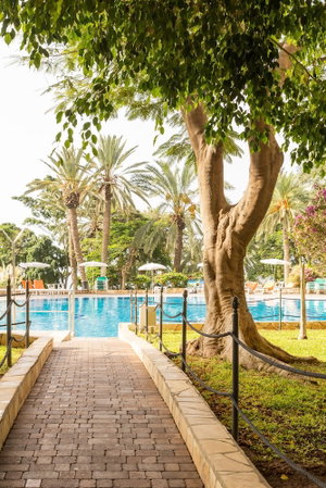Hotel Pierre & Vacances Tenerife-Marazul Del Sur cazare Callao Salvaje