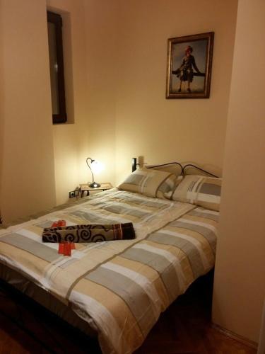 Hotel Camera Tip Economic Mozart