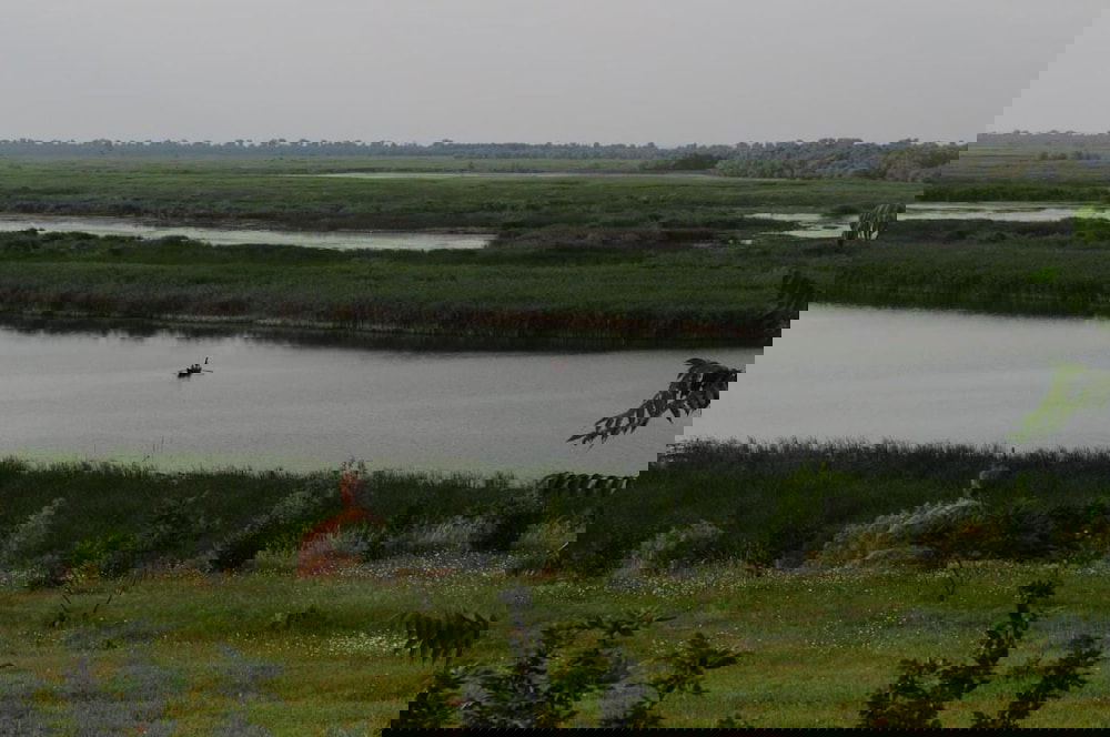 Hotel Delta Resort Treetop By Eight Continents