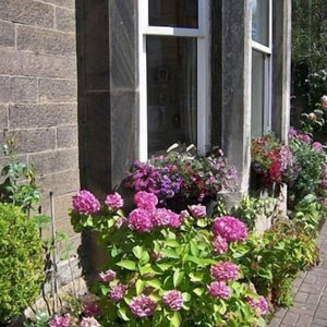 Hotel Highfield Guest House cazare Newington