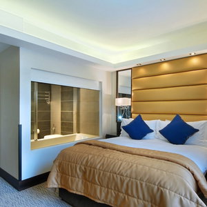 Sejur Park Grand Mayfair vacanta City of Westminster