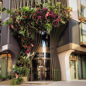Hotel The Botree London, Curio Collection By Hilton cazare City of Westminster