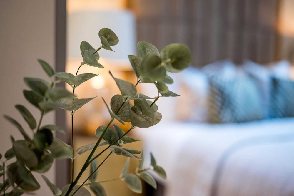Marble Arch Suites