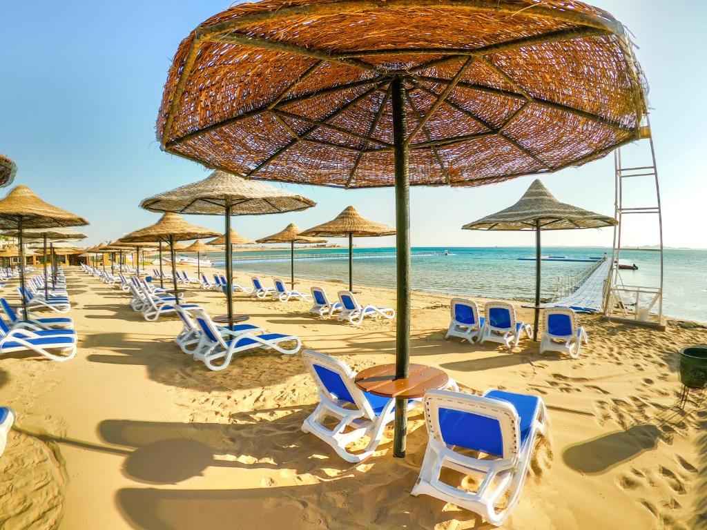 dal travel Ivy Cyrene Sharm Resort