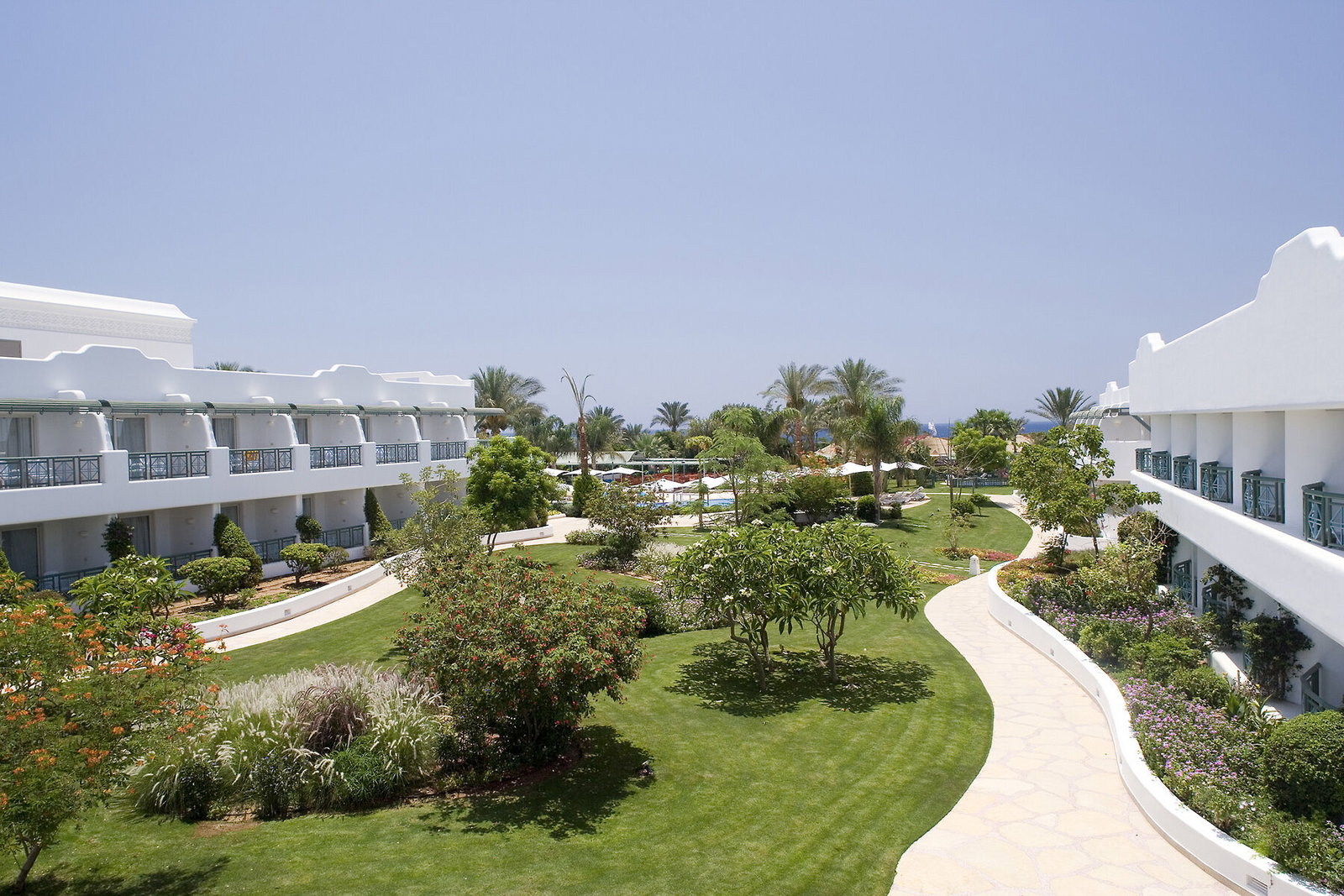 dal travel Novotel Sharm El Sheikh - Palm