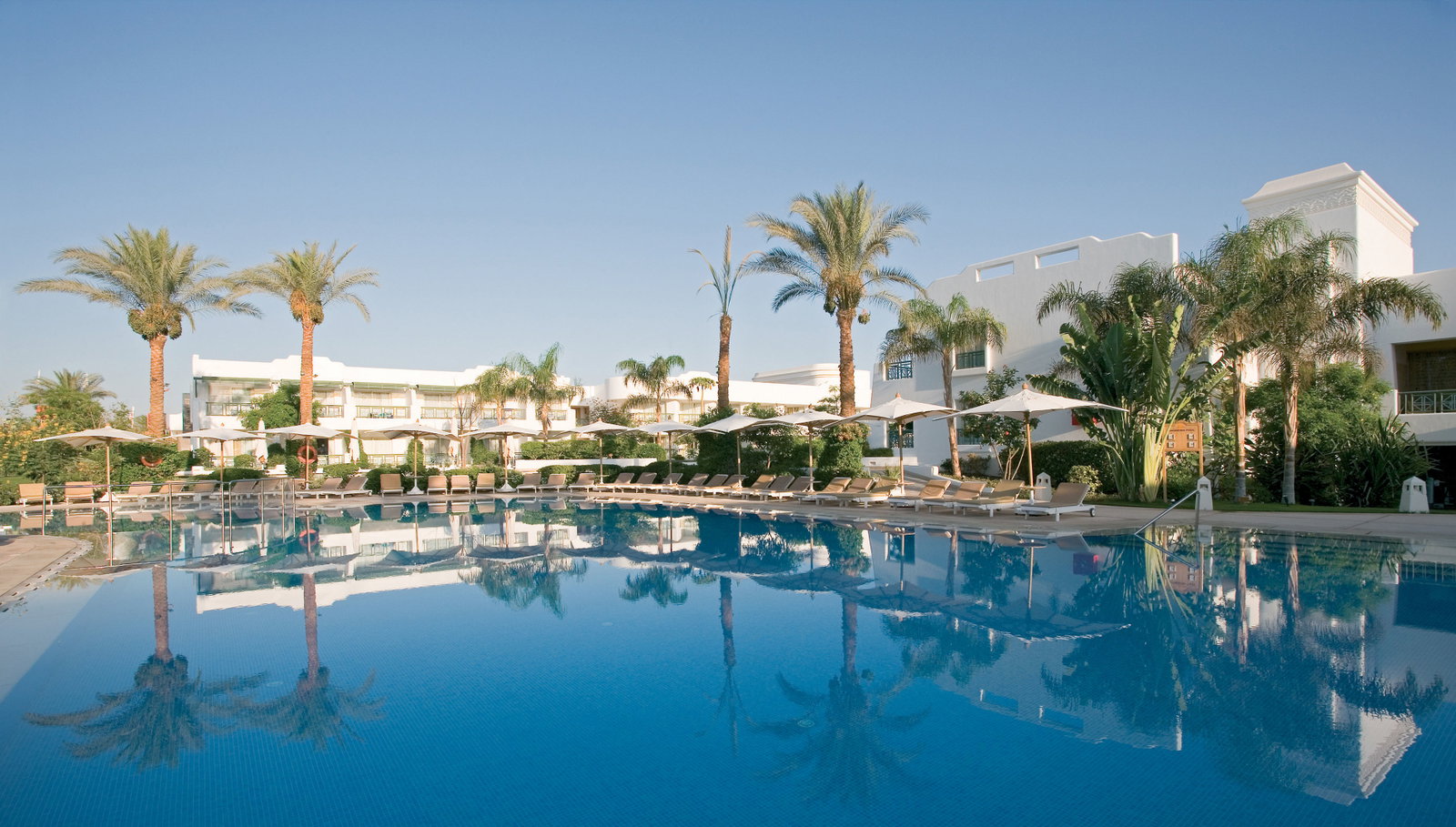 dal travel Novotel Sharm El Sheikh - Palm