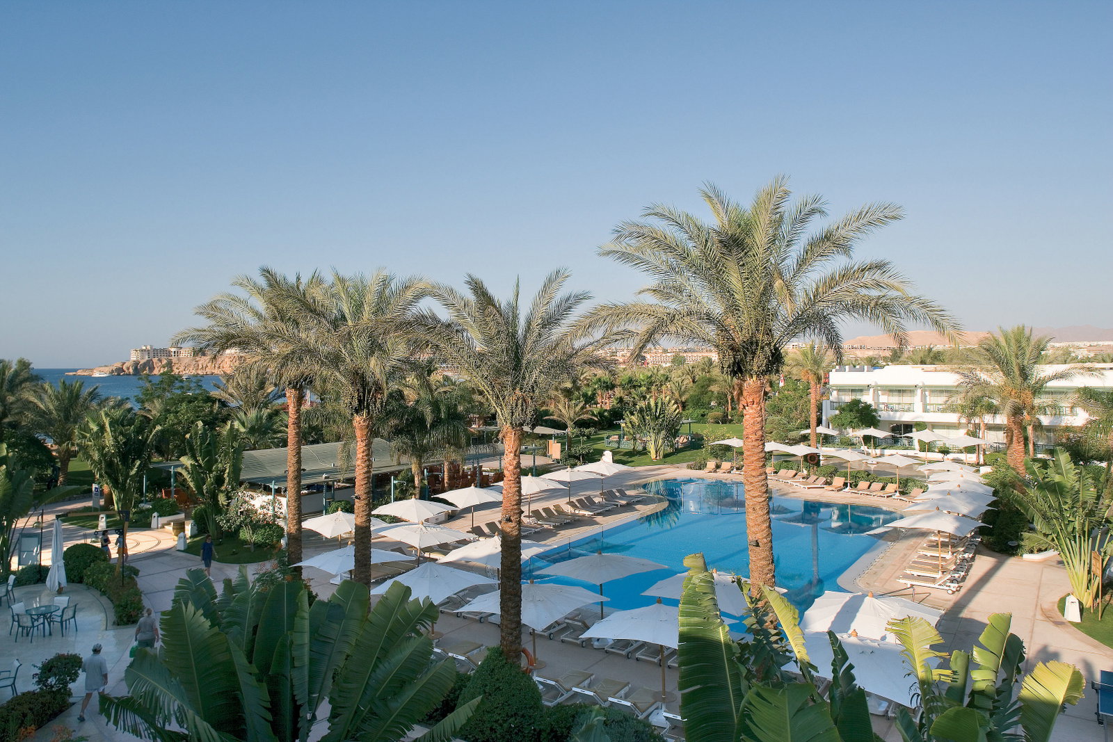 dal travel Novotel Sharm El Sheikh - Palm