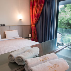 Sejur Pines Hotel vacanta Kifisia