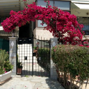 Hotel Villa George cazare Nea Makri