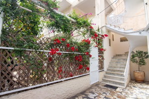 Hotel Cozy Apartment Next To Alimos Beach cazare Alimos