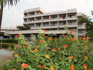 Hotel Serrano Palace cazare Cala Ratjada