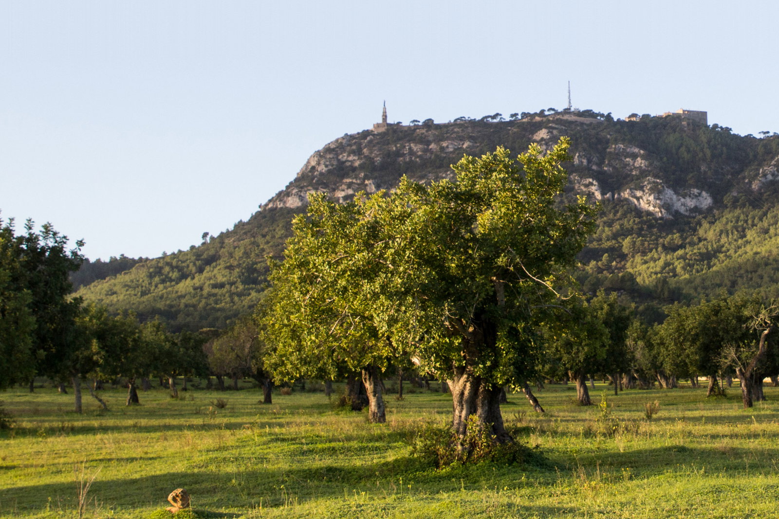 dal travel Sant Salvador Hostatgeria