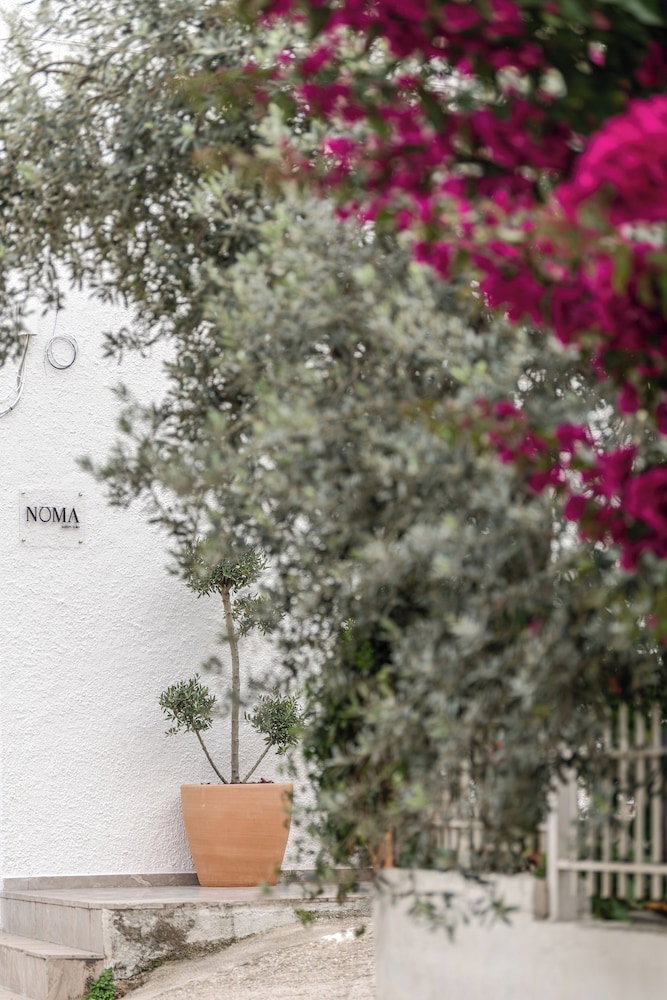 Hotel Noma Suites Tolo